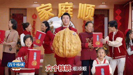 大红鹰dhy(中国)有限公司官网